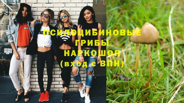 дживик Магадан