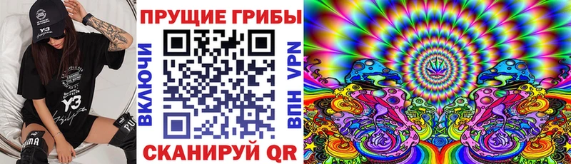 наркошоп  kraken   Галлюциногенные грибы Cubensis  Тбилисская 
