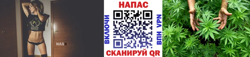 даркнет телеграм гидра зеркало Тбилисская Марихуана план